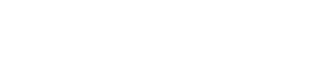 Binary Ninja logo